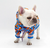 nicole-and-baby-burberry-furberry-nicole-and-baby-pet-boutique-blue-orange-frenchie-front-back