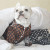 dog-louis-vuitton-chewy-brown-pajamas-nicole-and-baby-luxury-pet-boutique2 dog-louis-vuitton-chewy-brown-pajamas-nicole-and-baby-luxury-pet-boutique2
