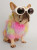 rainbow-furry-dog-sweater-dog-clothes-australia2.