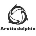 ARCTIC DOLPHIN