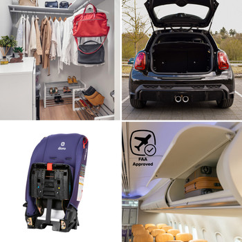 Radian® 3R® Folded [Purple Wildberry]