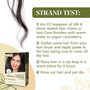 Silk & Stone Herbal Henna Hair Dye #35: Lustrous Red- Strand Test