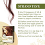 Silk & Stone Herbal Henna Hair Dye #42: Lustrous Red- Strand Test