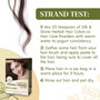 Silk & Stone Herbal Henna Hair Dye #35: Lustrous Red- Strand Test