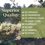 Silk & Stone 100% Natural Cassia Obovata Powder- Superior Quality