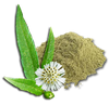 Silk & Stone 100% Natural Bhringraj Powder