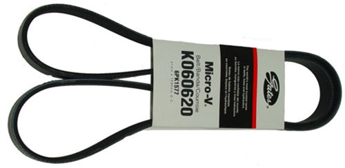 #10781 - 5.0L Serpentine Belt