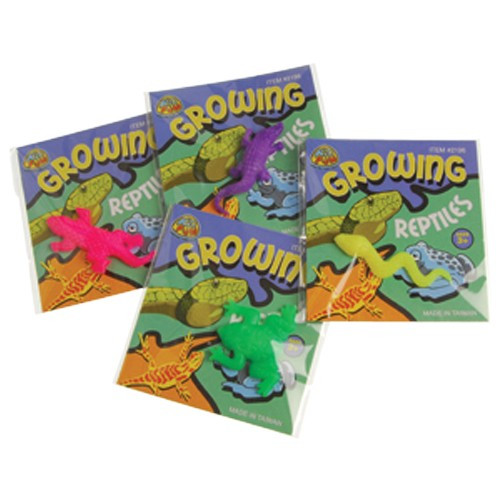 Growing Dinosaur Toys 12pcs/pack MTRADE PTE. LTD.