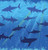 Shark Splash Plastic Tablecover