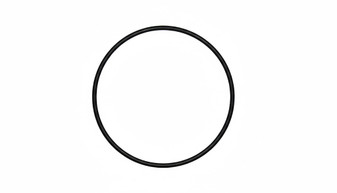 Gasket, for Case Back, Rolex 29-250-8 (Generic)