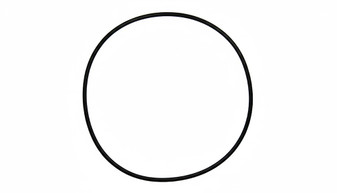 Gasket, for Case Back, Rolex 29-312-8 (Generic)