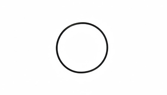 Gasket, for Case Back, Rolex 29-192-86 (Generic)