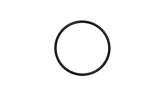 Gasket, for Case Back, Rolex 29-208-8 (Generic)