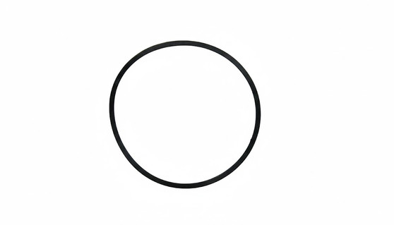 Gasket, for Case Back, Rolex 29-245-105 (Generic)