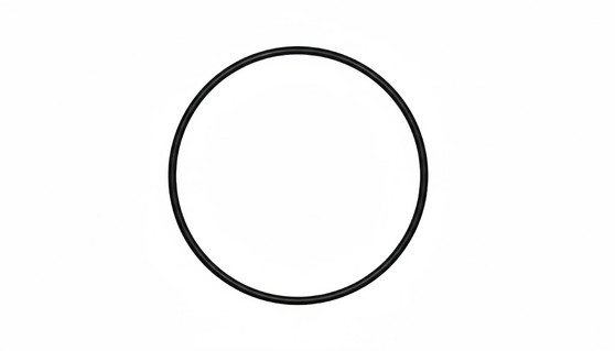 Gasket, for Case Back, Rolex 29-250-8 (Generic)