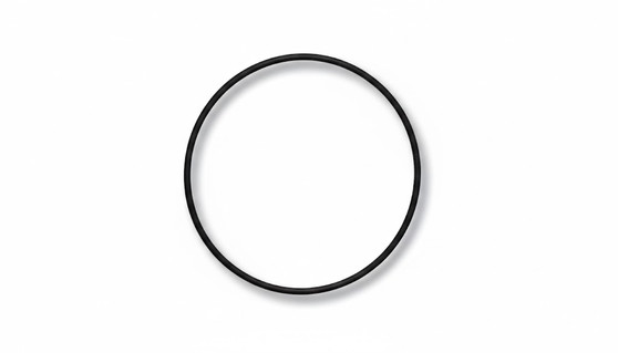 Gasket, for Case Back, Rolex 29-270-8 (Generic)