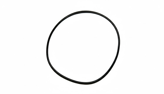 Gasket, for Case Back, Rolex 29-298-8 (Generic)