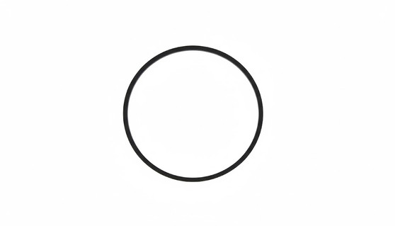 Gasket, for Case Back, Rolex 29-210-124 (Generic)