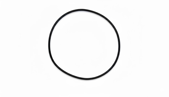 Gasket, for Case Back, Rolex 29-303-8 (Generic)