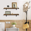 Wall Mounted Floating Shelves, Set of 2, Display Ledge