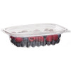 Rectangular Deli Container w/Lid - 8oz