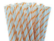 Orange Thin Striped Paper Straws