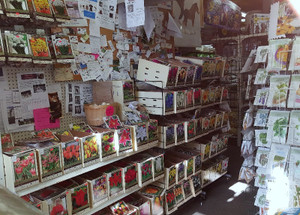 Bulbs, seeds, supplies Bulbs, seeds, supplies