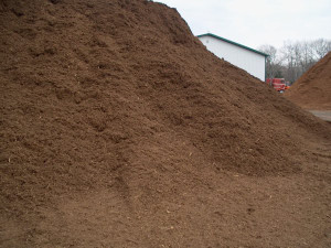 Pine mulch Pine mulch
