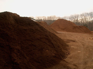 Dark mulch (left) Dark mulch (left)