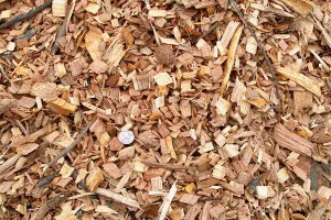 Wood Chips - Whole Tree -- cubic yard Wood Chips - Whole Tree -- cubic yard