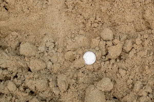 Mason Sand -- cubic yard Mason Sand -- cubic yard