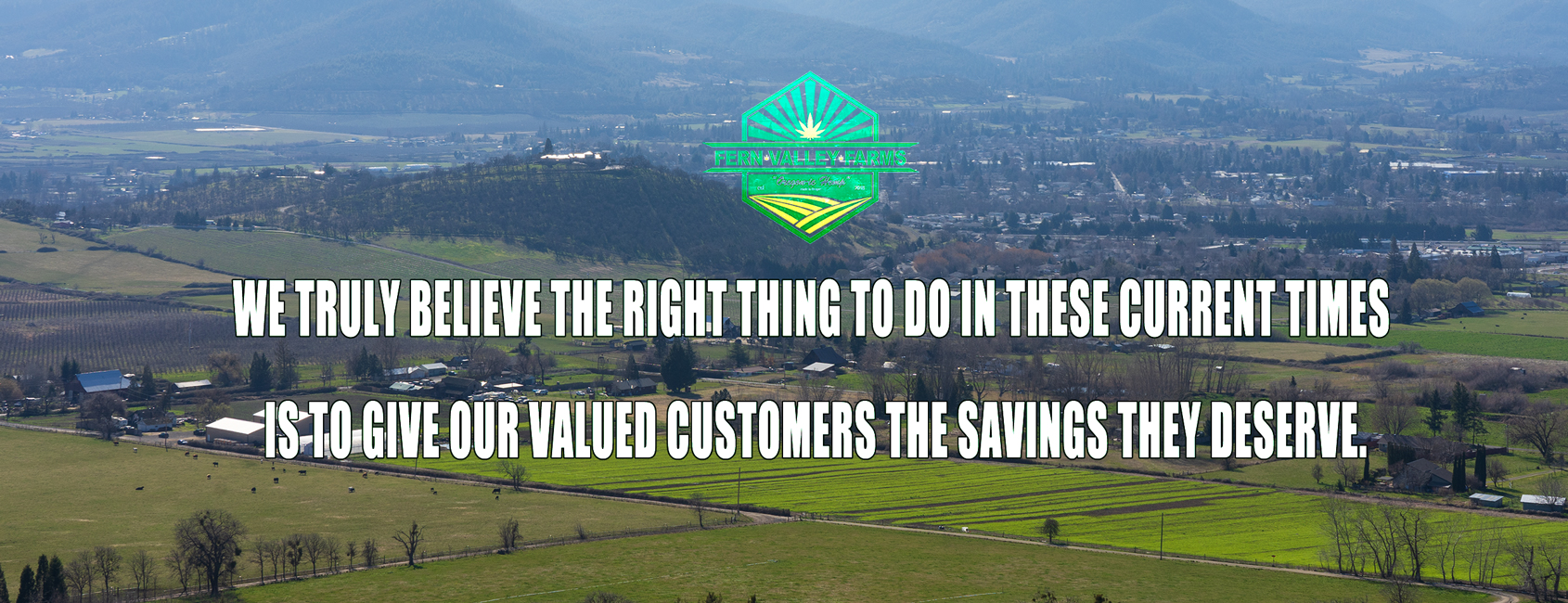 Premium CBD For Sale Fern Valley Farms