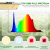 MARS HYDRO TSW 2000 LED Grow Light