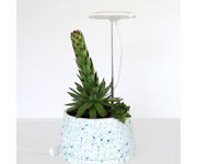 Halo 360 LED Grow Light