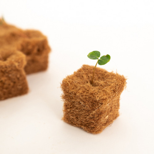 Terrafibre Growing Cubes 1.5"