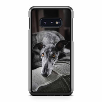 Selective Focus Of Greyhound Dog Samsung Galaxy S10 / S10 Plus / S10e Case Cover