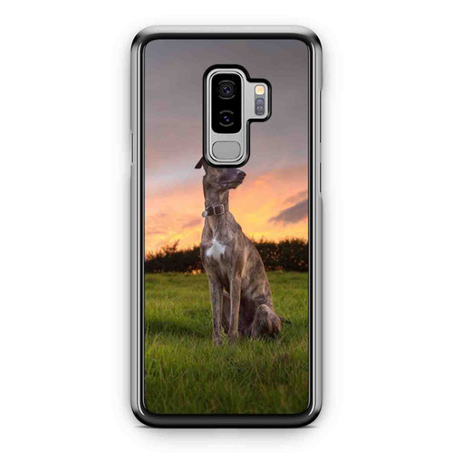 Greyhounds Sit On The Grass Samsung Galaxy S9 / S9 Plus Case Cover