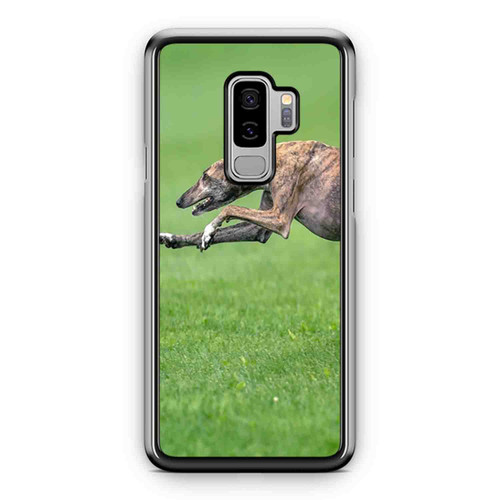 Greyhounds Run Samsung Galaxy S9 / S9 Plus Case Cover