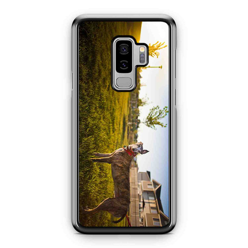 Greyhounds Play In Nature Samsung Galaxy S9 / S9 Plus Case Cover