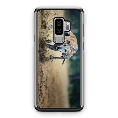 Greyhound Racing Samsung Galaxy S9 / S9 Plus Case Cover