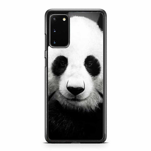 Panda Bear Giant Panda Animals Samsung Galaxy S20 / S20 Fe / S20 Plus / S20 Ultra Case Cover