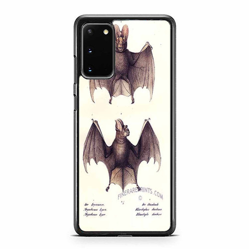 Lithograph Of A False Vampire Bat And A Horseshoe Bat Samsung Galaxy S20 / S20 Fe / S20 Plus / S20 Ultra Case Cover