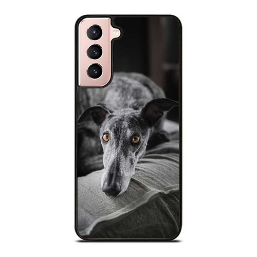 Selective Focus Of Greyhound Dog Samsung Galaxy S21 / S21 Plus / S21 Ultra Case Cover
