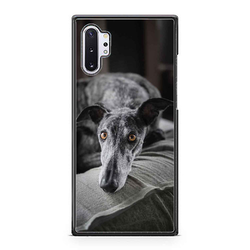 Selective Focus Of Greyhound Dog Samsung Galaxy Note 10 / Note 10 Plus Case Cover