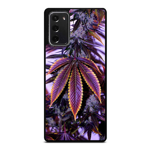 Weed Amsterdam Coffe Ganja Drugs Samsung Galaxy Note 20 / Note 20 Ultra Case Cover