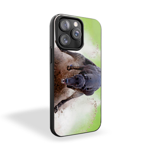 Greyhounds Run Fast iPhone 15 Case Cover