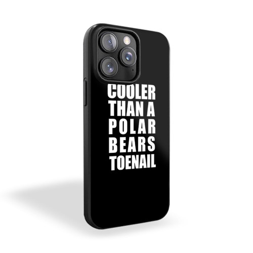 Baffle Cooler Than A Polar Bear's Toenails Christmas Birthday Present iPhone 15 Case Cover