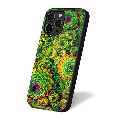 Cactus 4 iPhone 16 Case Cover