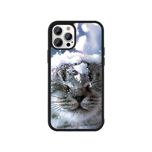Kitten With Snow Funny Winter iPhone 13 / 13 Mini / 13 Pro / 13 Pro Max Case Cover