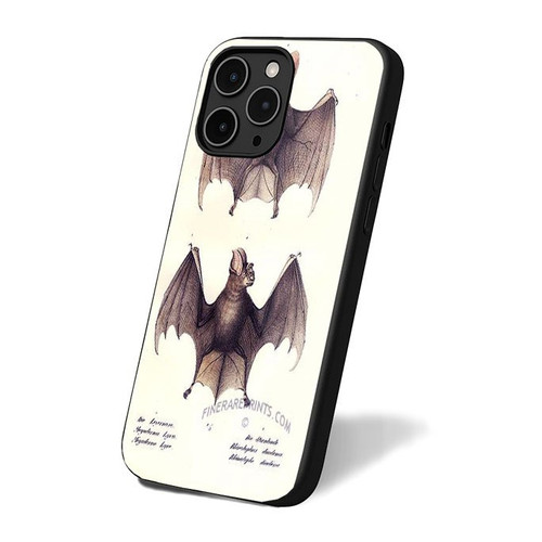 Lithograph Of A False Vampire Bat And A Horseshoe Bat iPhone 16 Case Cover Lithograph Of A False Vampire Bat And A Horseshoe Bat iPhone 16 Case Cover